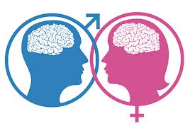 Men vs. Women brain
